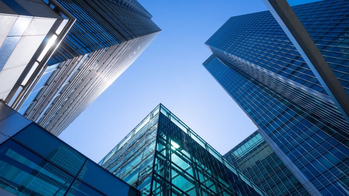 Segmentation des entreprises : les 4 catégories à connaître
